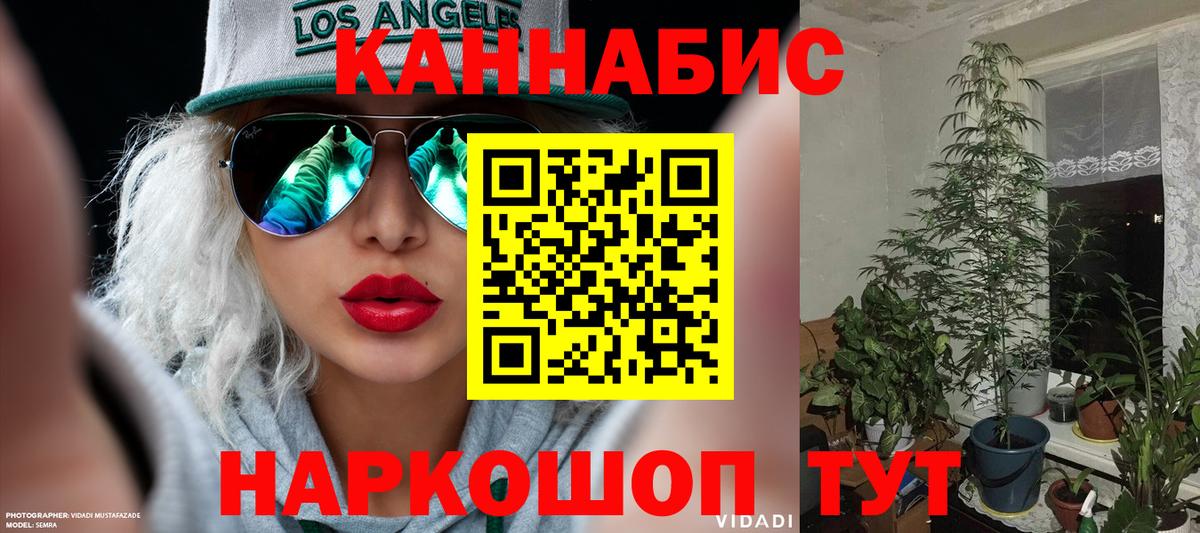Кинель  Канабис AK-47  Вход с VPN  Каннабис Amnesia  Бошки Шишки конопля  Канабис SATIVA & INDICA 